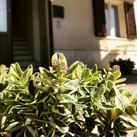 Le Campane Di Gasthuis 3*