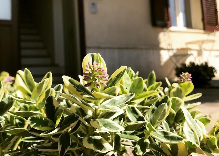 Le Campane Di Vendégház 3*